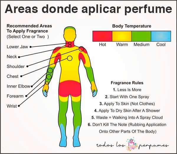 Guía Definitiva de los Perfumes de Hombre 🥇 Aprende a Seducir